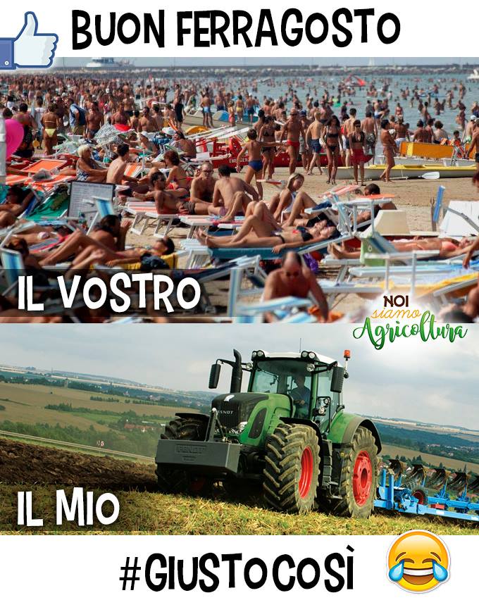 Buon Ferragosto Noi Siamo Agricoltura