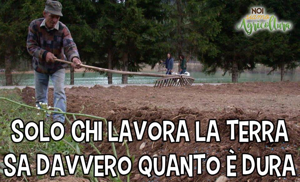 Solo chi lavora la Terra | Noi Siamo Agricoltura