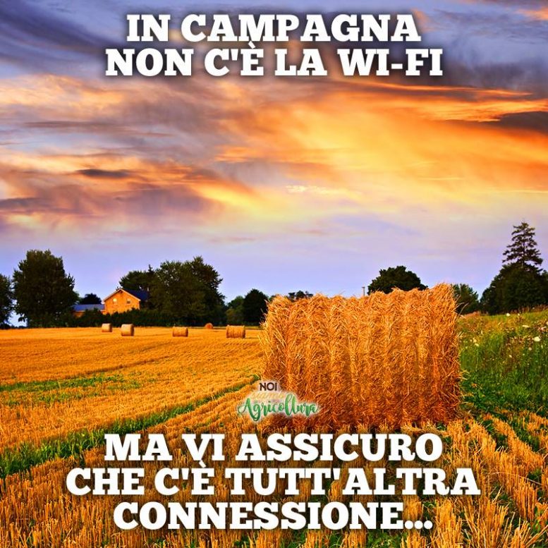 In Campagna non c'è la Wi-fi | Noi Siamo Agricoltura