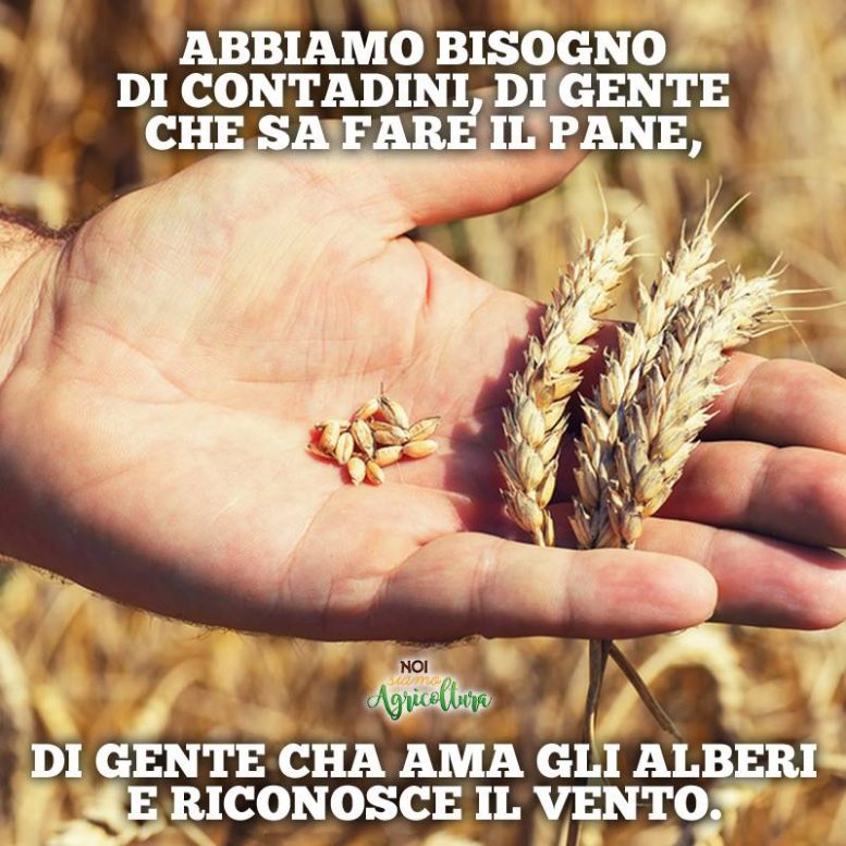 Abbiamo bisogno di Contadini | Noi Siamo Agricoltura